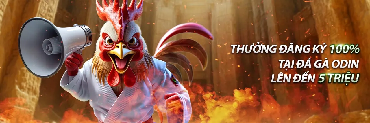 Sòng bạc trực tuyến với các trò chơi đa dạng và đá gà Thomo trực tiếp